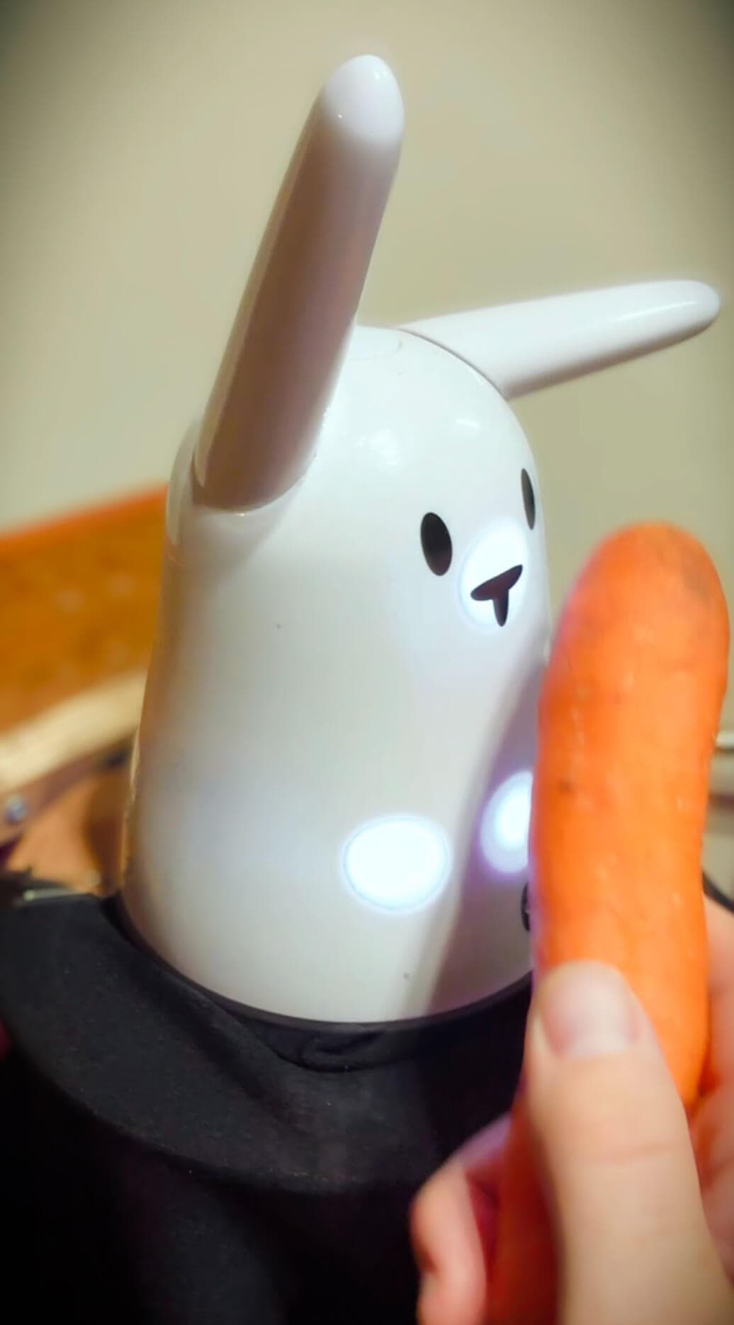 Mon Lap-1 & the useless machines 4